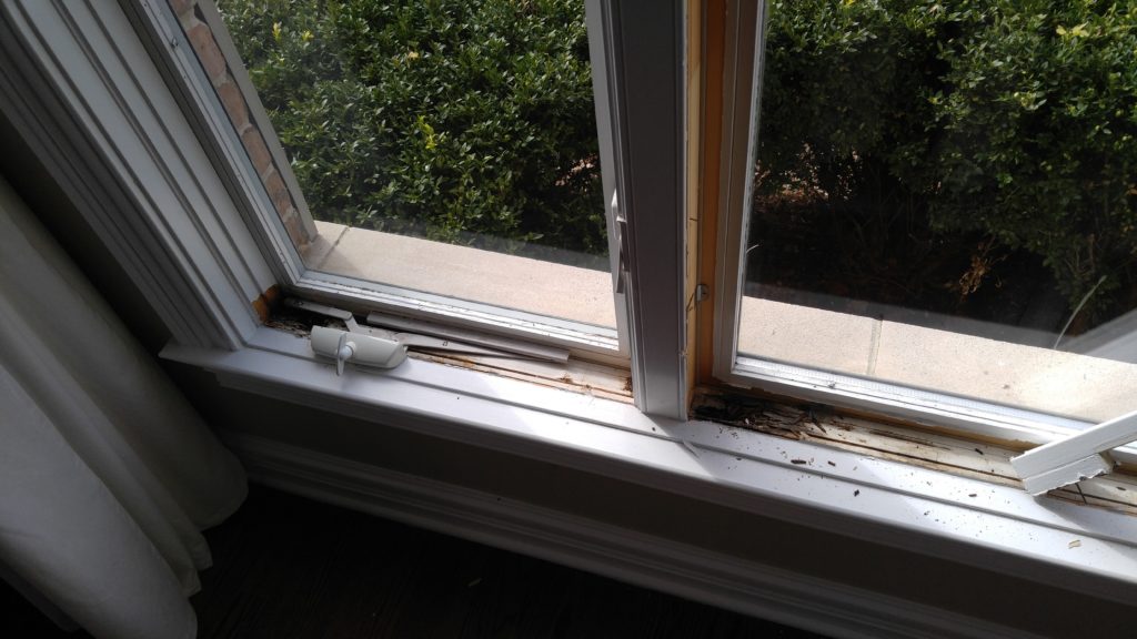 Rotted wood could be underneath your windows